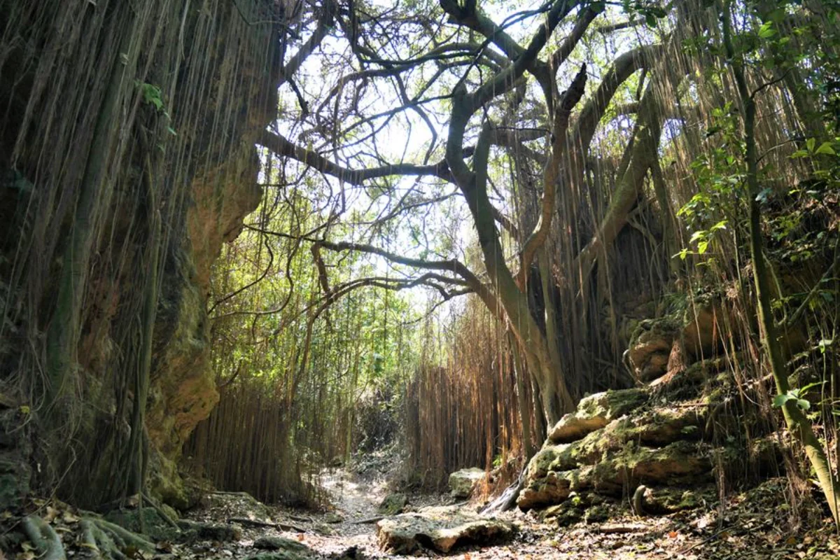 柴山秘境之旅・行程照片 3